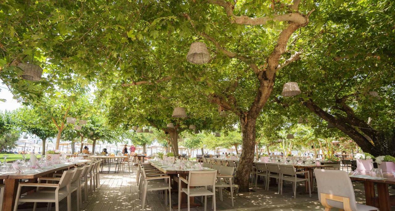 Zoe Seaside Resort يالوفا المظهر الخارجي الصورة
